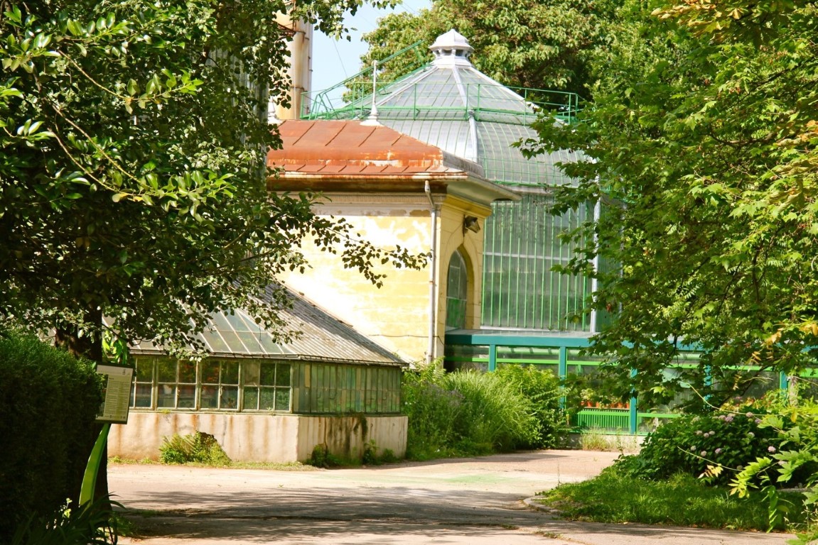 De botanische tuin, oase van rust.